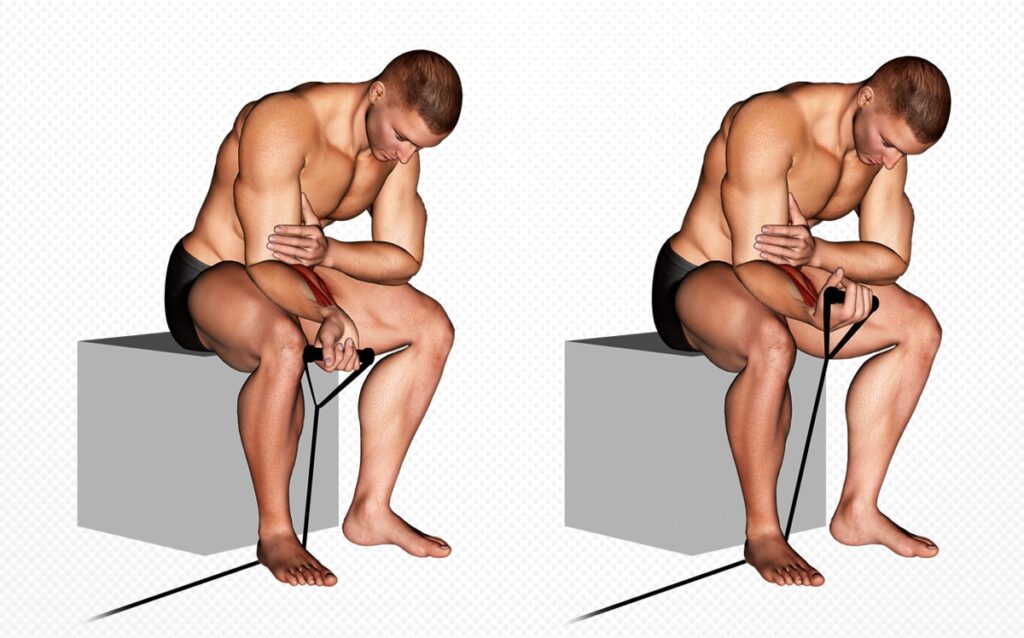 Band Wrist Curl Guide